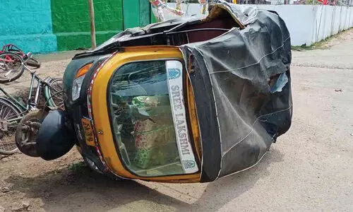 auto attacked by wild elephant