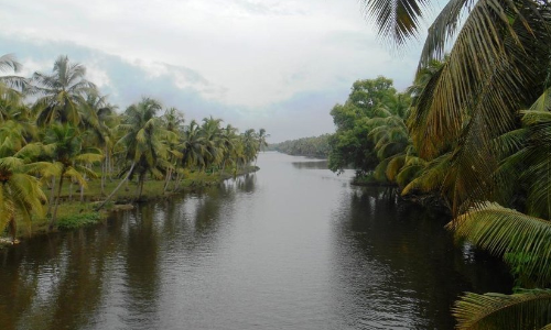 ക​നോ​ലി ക​നാ​ലി​ൽ​നി​ന്ന് ഉ​പ്പു​വെ​ള്ളം ക​യ​റി;  കു​ടി​വെ​ള്ള സ്രോ​ത​സ്സ്​ ഉ​പ​യോ​ഗ​ശൂ​ന്യ​മാ​യി