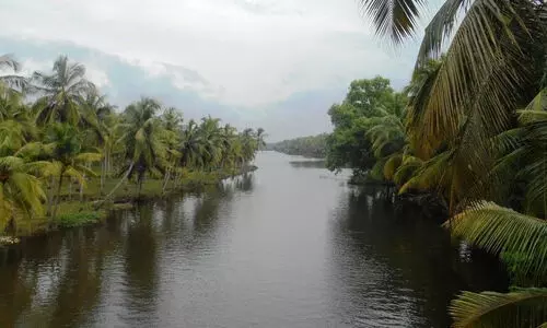 ക​നോ​ലി ക​നാ​ലി​ൽ​നി​ന്ന് ഉ​പ്പു​വെ​ള്ളം ക​യ​റി;  കു​ടി​വെ​ള്ള സ്രോ​ത​സ്സ്​ ഉ​പ​യോ​ഗ​ശൂ​ന്യ​മാ​യി