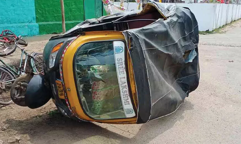 auto attacked by wild elephant auto attacked by wild elephant