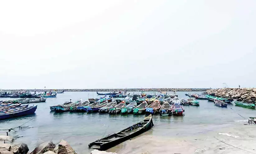 coastal area coastal area