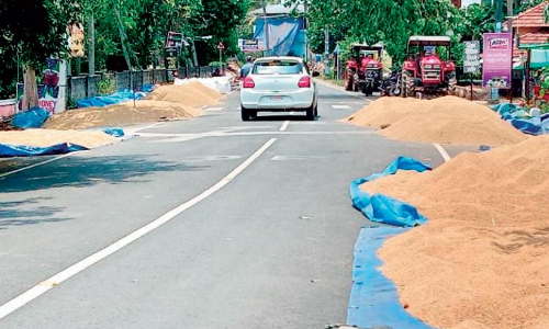 സപ്ലൈകോ എത്തിയില്ല; വഴിയോരത്ത് നെല്ലിട്ട് കർഷകരുടെ കാത്തിരിപ്പ് സപ്ലൈകോ എത്തിയില്ല; വഴിയോരത്ത് നെല്ലിട്ട് കർഷകരുടെ കാത്തിരിപ്പ്