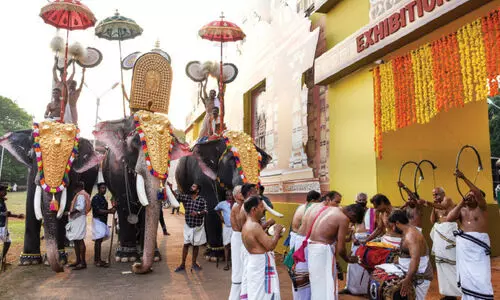 thrissur pooram preperation