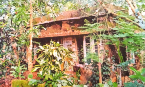 കൃഷി വകുപ്പി​െൻറ പ്രദർശന ഓഫിസും ക്വാർട്ടേഴ്സും തകർന്നുവീഴാവുന്ന നിലയിൽ