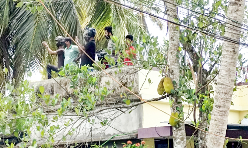 people watching helicopter people watching helicopter