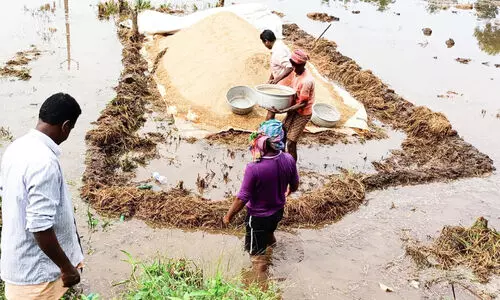 paddy field flooded