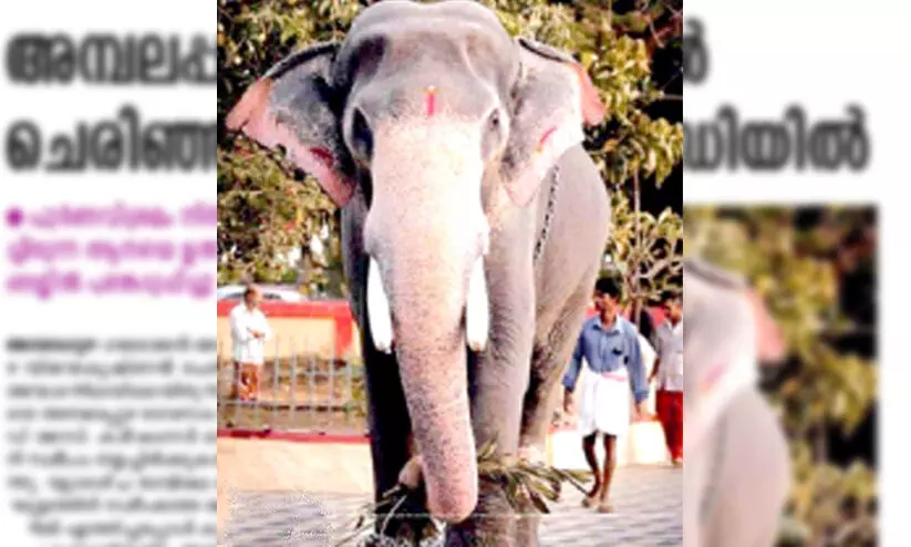 ambalapuzha vijayakrishnan