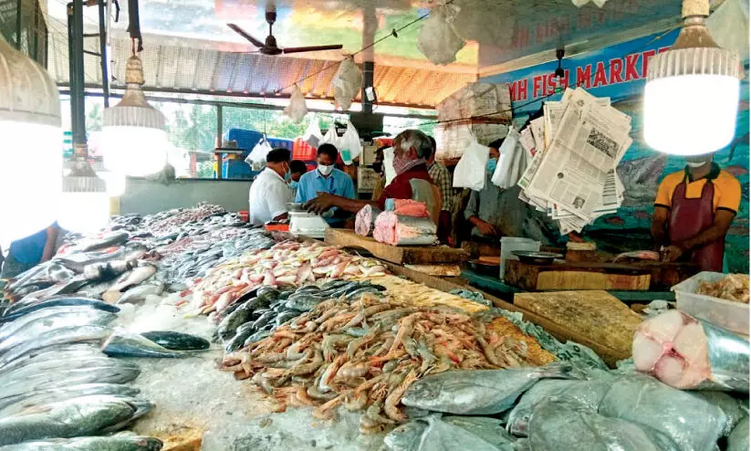 inspection at perinthalmanna fish market