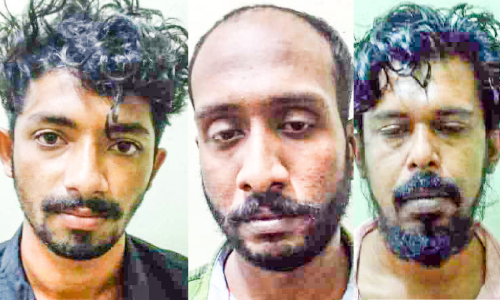 വീട്ടമ്മയെ ആക്രമിച്ച് കവർച്ച: മൂന്നംഗസംഘം പിടിയിൽ