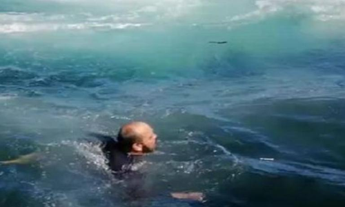 തിമിംഗല കാഴ്​ചയിൽ മതിമറന്നിരിക്കെ ബോട്ടിനെ ആക്രമിച്ച്​ കൂറ്റൻ തിമിംഗലം; ഗിലിയന്​ ജീവൻ തിരികെ ലഭിച്ചത്​ തലനാരിഴക്ക്​