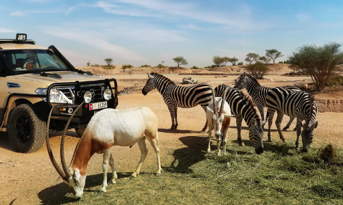 അൽഐൻ മൃഗശാല റമദാനിലെ  സമയക്രമം പ്രഖ്യാപിച്ചു