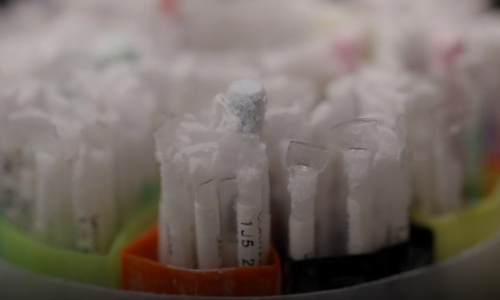 കോവിഡ്​ മഹാമാരി വില്ലനായി; ബീജ ദൗർലഭ്യത്തിൽ വലഞ്ഞ്​ സ്വീഡൻ