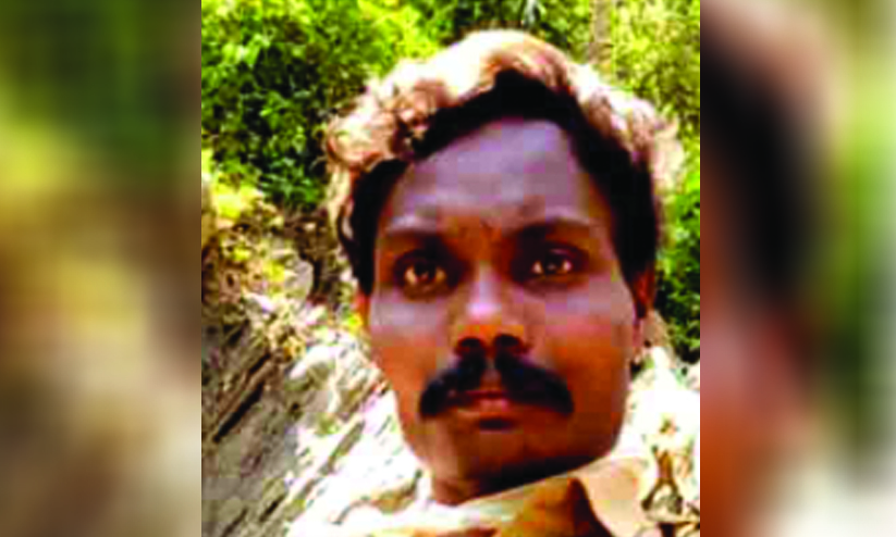 തേൻ ശേഖരിക്കുന്നതിനിടെ വഴുതി വീണ് ഫോറസ്റ്റ് വാച്ചർ മരിച്ചു