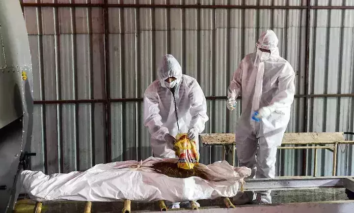 ഇന്ത്യയിലെ പ്രതിദിന കോവിഡ്​ മരണം 2300 വരെയായി ഉയരാമെന്ന്​ പഠന റിപ്പോർട്ട്​