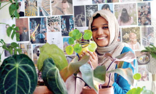 ഇ​ൻ​ഡോ​ർ പ്ലാ​ൻ​റു​ക​ൾ വീ​ട​ക​ങ്ങ​ളി​ൽ അ​ല​ങ്കാ​രം മാ​ത്ര​മ​ല്ല, സന്തോഷവും നി​റ​ക്കും