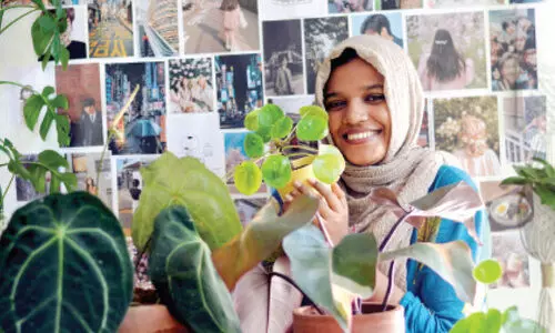 ഇ​ൻ​ഡോ​ർ പ്ലാ​ൻ​റു​ക​ൾ വീ​ട​ക​ങ്ങ​ളി​ൽ അ​ല​ങ്കാ​രം മാ​ത്ര​മ​ല്ല, സന്തോഷവും നി​റ​ക്കും