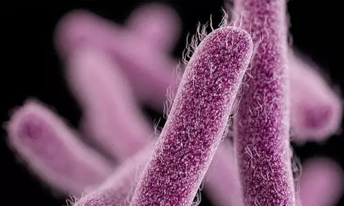 നൂൽപ്പുഴയിൽ വീണ്ടും ഷിഗല്ല റിപ്പോർട്ട്​ ചെയ്​തു