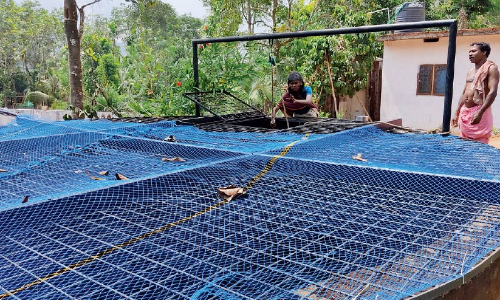 കി​ണ​റും പ​മ്പു​സെ​റ്റും മു​റ്റ​ത്തു​ണ്ടെ​ങ്കി​ലും പ​ണി​യ കോ​ള​നി​യി​ലെ ആ​ദി​വാ​സി​ക​ൾക്ക്​ വെ​ള്ളം കുടിക്കണമെങ്കിൽ ചു​മ​ക്ക​ണം