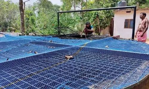 കി​ണ​റും പ​മ്പു​സെ​റ്റും മു​റ്റ​ത്തു​ണ്ടെ​ങ്കി​ലും പ​ണി​യ കോ​ള​നി​യി​ലെ ആ​ദി​വാ​സി​ക​ൾക്ക്​ വെ​ള്ളം കുടിക്കണമെങ്കിൽ ചു​മ​ക്ക​ണം