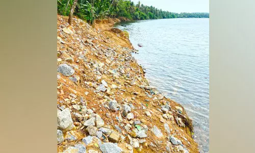 ഇനി പുഴ കവരില്ല, തേർളായി ദ്വീപിനെ ഇനി പുഴ കവരില്ല, തേർളായി ദ്വീപിനെ