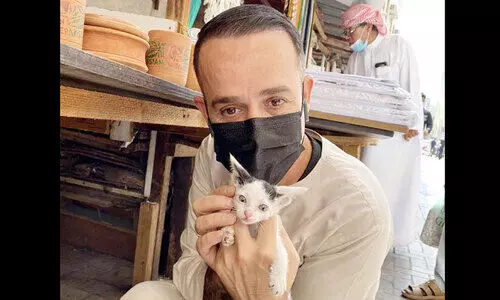 ആ പൂച്ചക്കുട്ടിയെ തിരിച്ചുതരൂ; അമ്മയുടെ കരച്ചിലടങ്ങുന്നില്ല- കാണാം സനയുടെ കരുതൽ