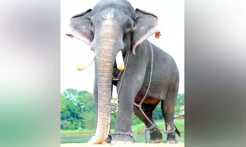 malayalappuzha rajan