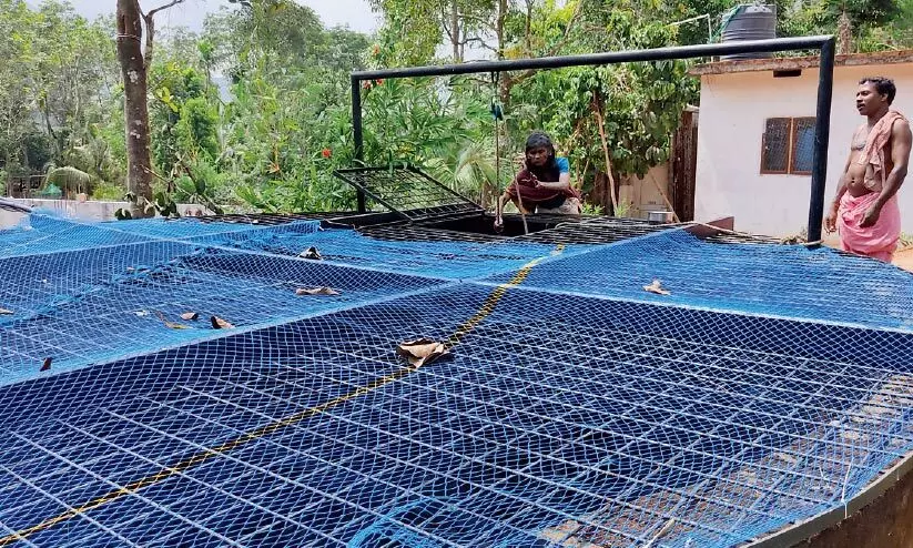 കി​ണ​റും പ​മ്പു​സെ​റ്റും മു​റ്റ​ത്തു​ണ്ടെ​ങ്കി​ലും പ​ണി​യ കോ​ള​നി​യി​ലെ ആ​ദി​വാ​സി​ക​ൾക്ക്​ വെ​ള്ളം കുടിക്കണമെങ്കിൽ ചു​മ​ക്ക​ണം