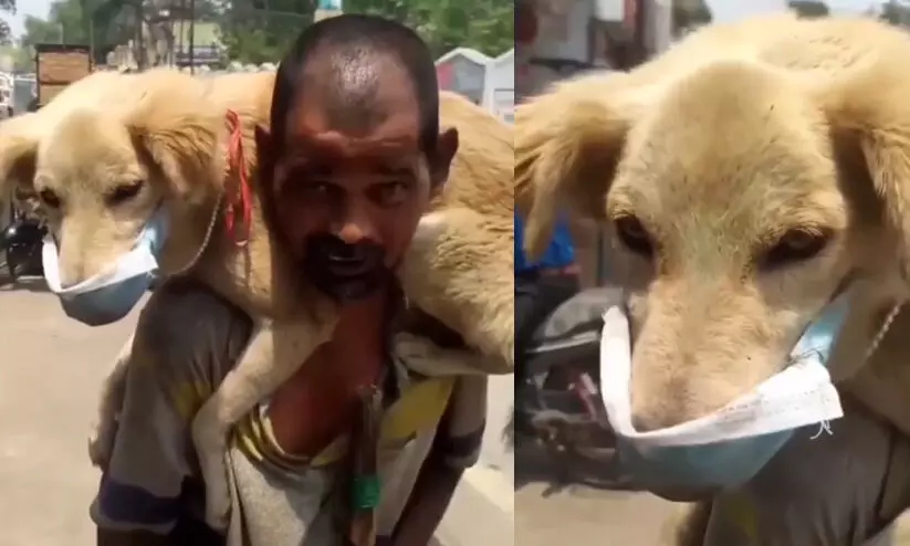 ആകെയുള്ള മാസ്ക് സ്വന്തം നായക്ക് നൽകി; ഞാൻ മരിച്ചാലും കുഴപ്പമില്ല... VIDEO