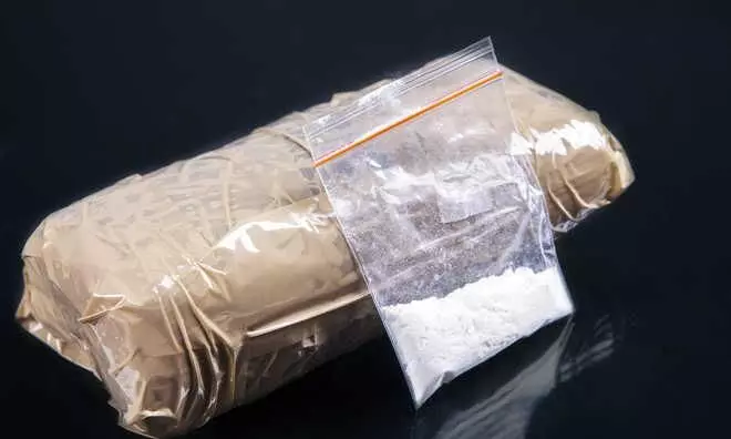 അതിർത്തി വേലിക്കുള്ളിലൂടെ ഹെറോയിൻ കടത്ത്: പാക് പൗരൻ പിടിയിൽ അതിർത്തി വേലിക്കുള്ളിലൂടെ ഹെറോയിൻ കടത്ത്: പാക് പൗരൻ പിടിയിൽ