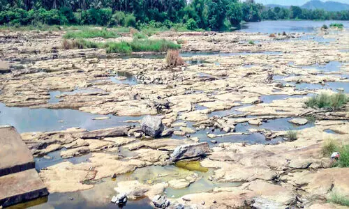 ഭാരതപ്പുഴ വരളുന്നു; ദുരിതത്തിലായി കർഷകർ
