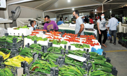 സീ​സ​ണ​ൽ പ​ച്ച​ക്ക​റി ച​ന്ത​ക​ൾ തു​റ​ന്നു