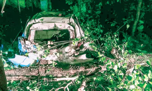 മഴയിലും കാറ്റിലും ശ്രീകൃഷ്ണപുരം മേഖലയിൽ വ്യാപക നാശം