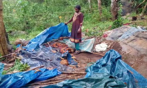 wild elephant attack-shelter collapsed