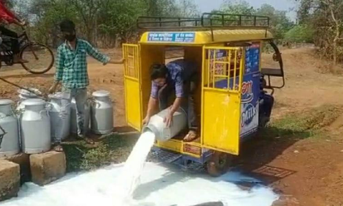 പാൽ വിൽക്കാനാകുന്നില്ല, സൂക്ഷിക്കാൻ ശീതീകരണിയുമില്ല; ക്ഷീര കർഷകർ ദിവസവും 1500 ലിറ്റർ ഒഴുക്കികളയുന്നു