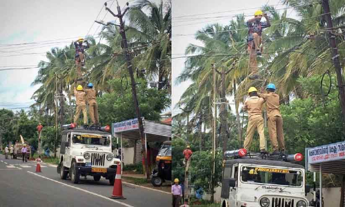 വൈദ്യുതി കമ്പികളിൽ ജീവൻ പണയംവെച്ച്​ ജീവനക്കാർ