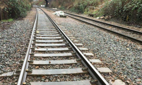 പാളത്തിലേക്ക്​ വീണ കുഞ്ഞിന്​ നേരെ ചീറിപ്പാഞ്ഞ്​ ട്രെയിൻ​; രക്ഷകനായി റെയിൽവേ ജീവനക്കാരൻ, വിഡിയോ കാണാം