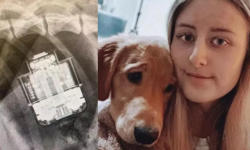 UK vets surgically remove AirPods swallowed by dog find them to be functional UK vets surgically remove AirPods swallowed by dog find them to be functional