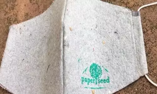 Paper seed Mask