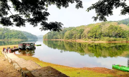 thekkady
