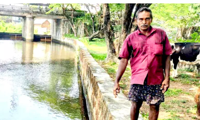 vaiga murder vaiga murder