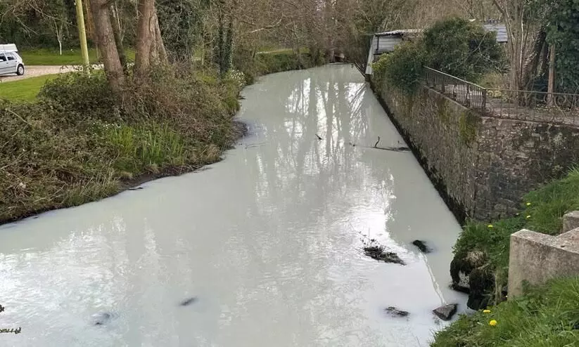 നാട്ടിൽ പാലും തേനും ഒഴുക്കുമെന്ന് കേട്ടപ്പോൾ ഇത്ര കരുതിയില്ല -ബ്രിട്ടനിലെ പാലരുവി കാണാം നാട്ടിൽ പാലും തേനും ഒഴുക്കുമെന്ന് കേട്ടപ്പോൾ ഇത്ര കരുതിയില്ല -ബ്രിട്ടനിലെ പാലരുവി കാണാം