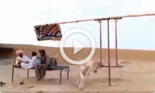 കറണ്ടില്ലെങ്കിലെന്താ കഴുതയുണ്ടല്ലോ; ചൂടുമാറ്റുന്ന പുതിയ വിദ്യ വൈറൽ -വിഡിയോ