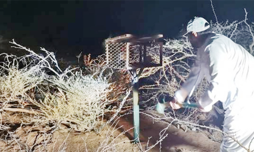 1400 അനധികൃത വേട്ടയാടൽ ഉപകരണങ്ങൾ പിടിച്ചെടുത്തു