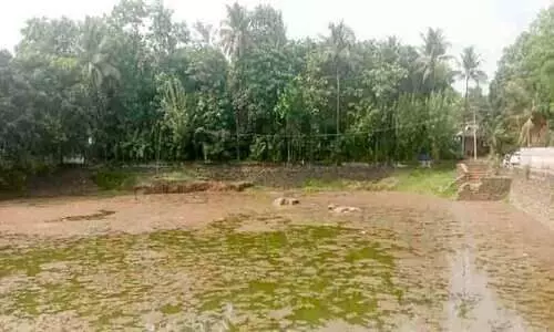 pallichiraghara chira