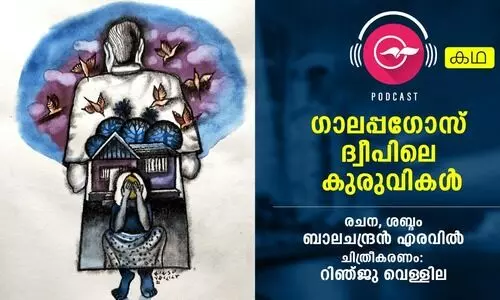 ഗാലപ്പഗോസ് ദ്വീപിലെ കുരുവികൾ - കഥ