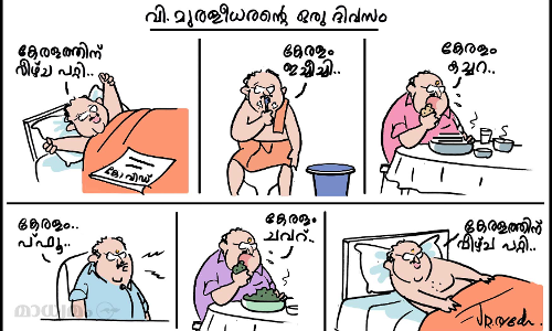 വെറുതെ ഒരു മന്ത്രി
