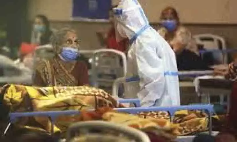 image photo image photo