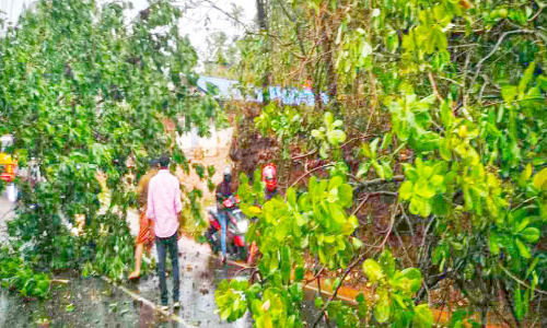 mattannur rain damage mattannur rain damage