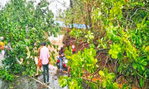 mattannur rain damage