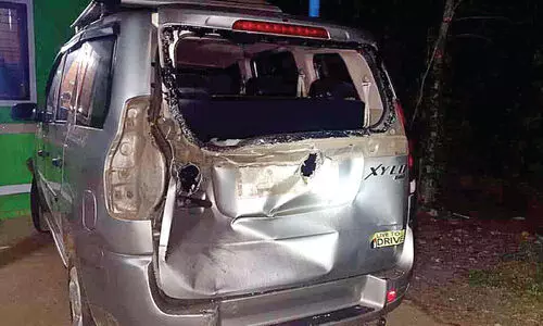 malakkappara elephant attack